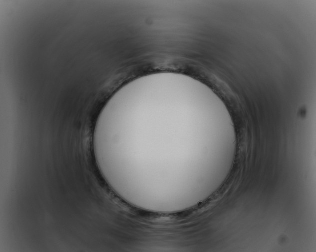 X0000102490513200808081059