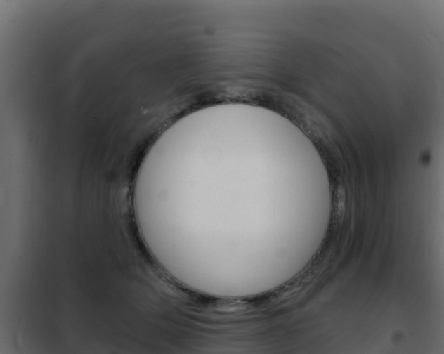 X0000102490514200808081059