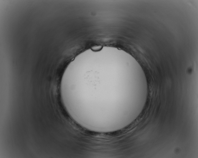 X0000102490515200808081059