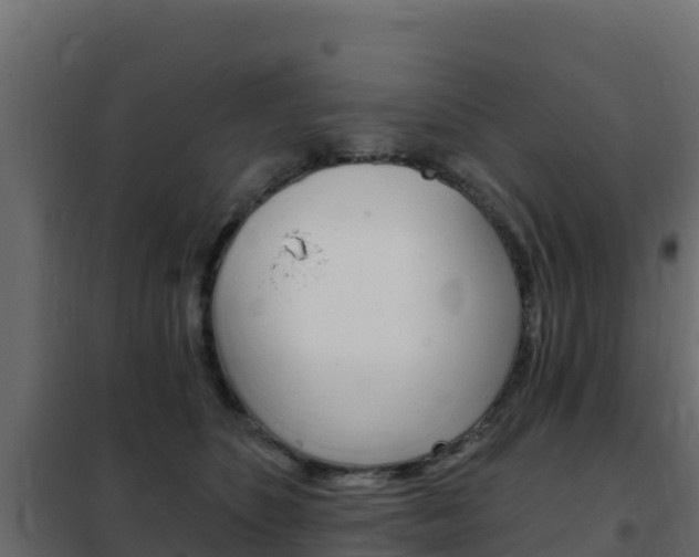 X0000102490516200808081059