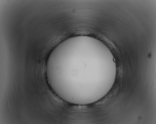 X0000102490517200808081059