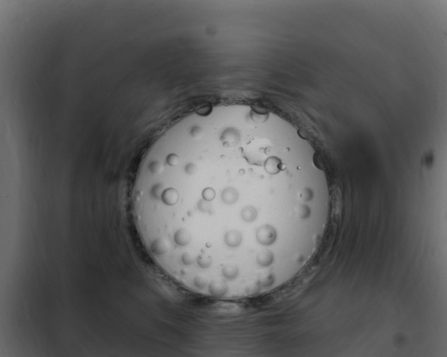 X0000102490519200808081059
