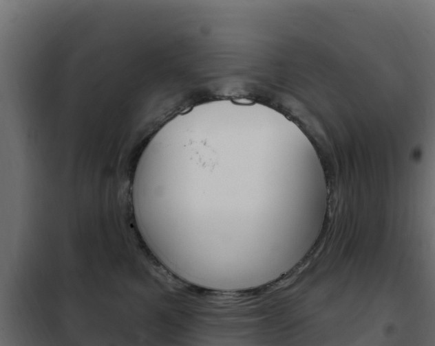 X0000102490521200808081059