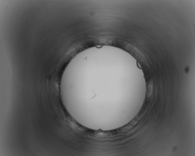 X0000102490522200808081059