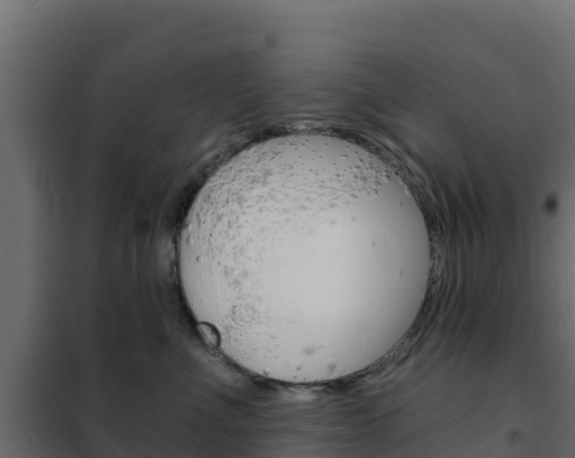 X0000102490523200808081059