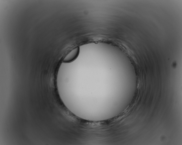 X0000102490524200808081059