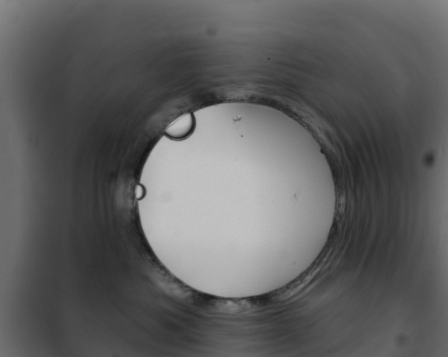 X0000102490525200808081059