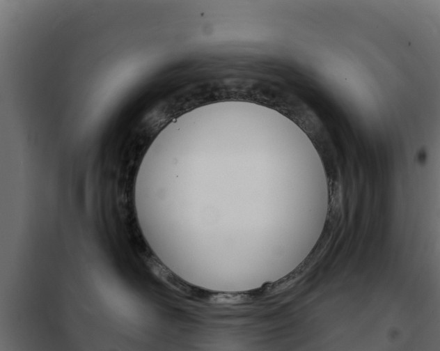 X0000102490526200808081059