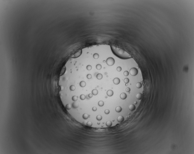 X0000102490527200808081059