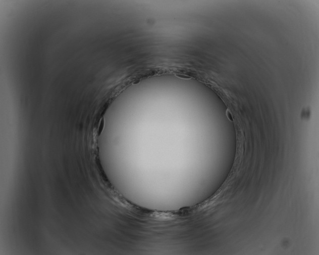 X0000102490528200808081059