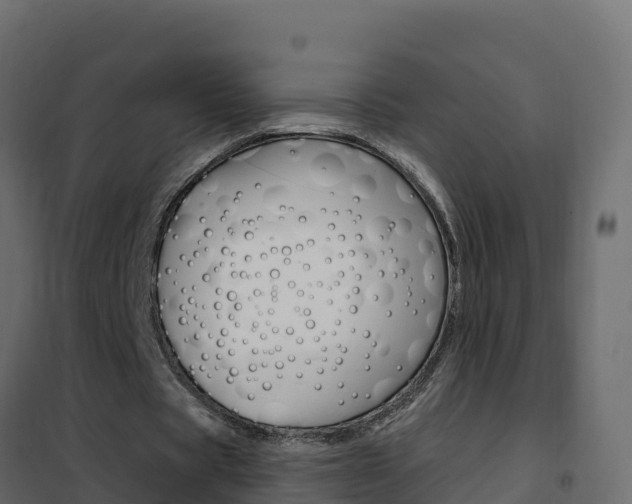 X0000102490529200808081058