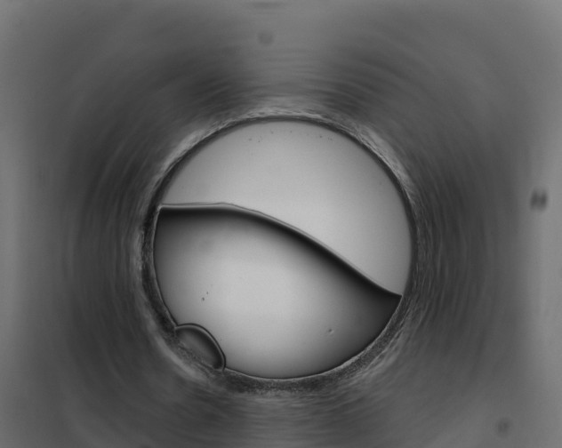 X0000102490530200808081058
