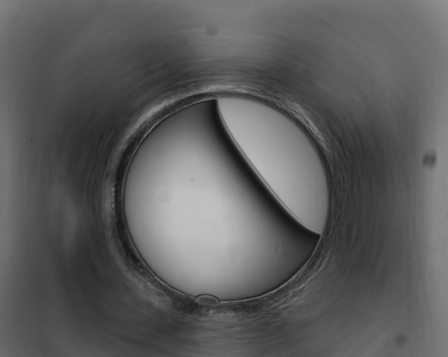 X0000102490531200808081058