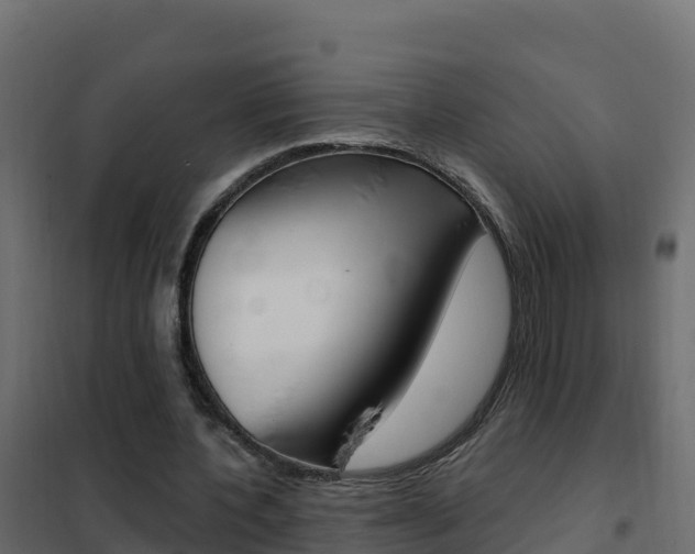 X0000102490532200808081058
