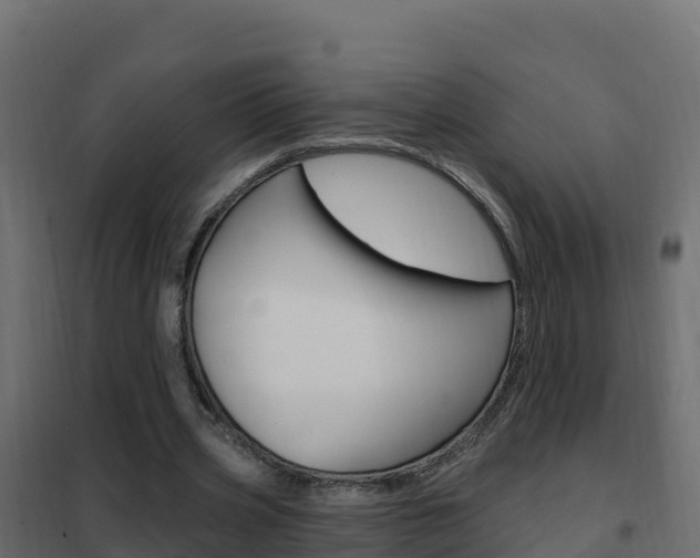 X0000102490533200808081058