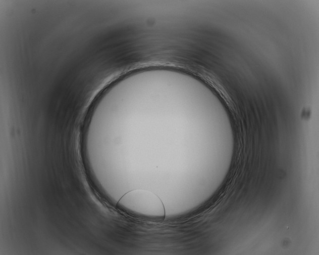 X0000102490534200808081058