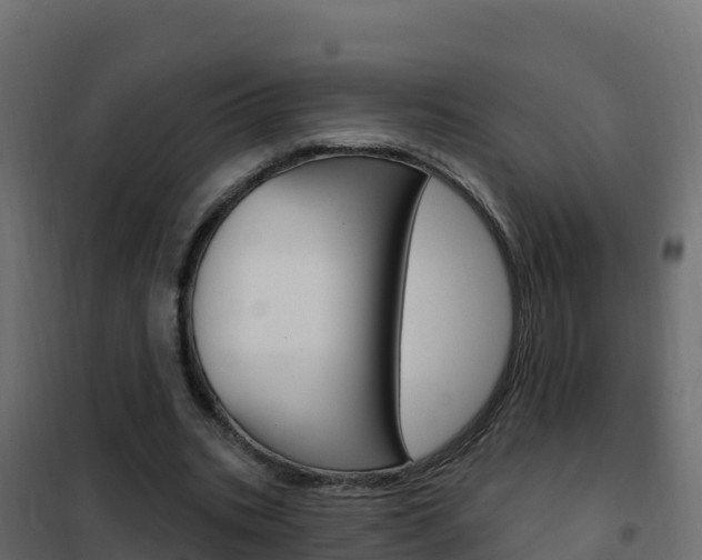 X0000102490535200808081058