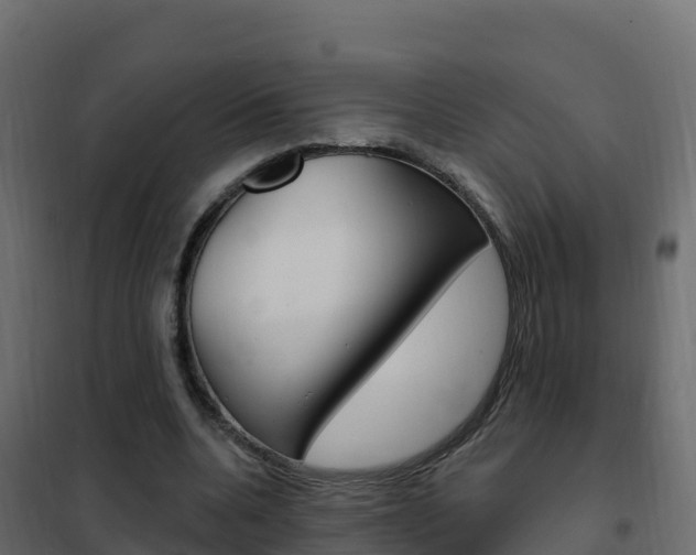 X0000102490536200808081058