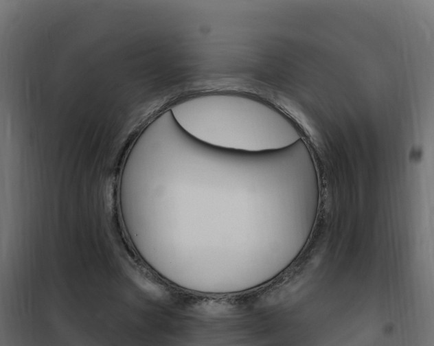 X0000102490537200808081058