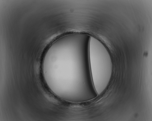 X0000102490540200808081058
