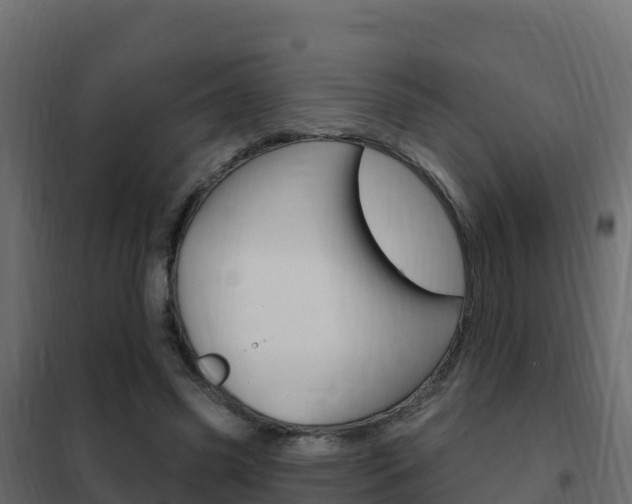 X0000102490541200808081058