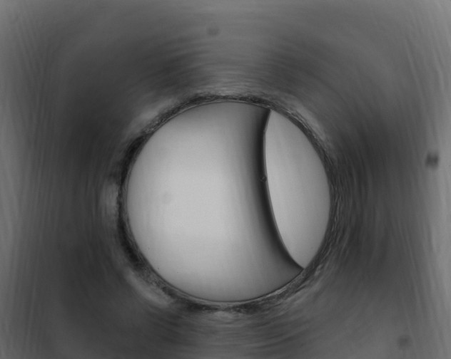 X0000102490542200808081058