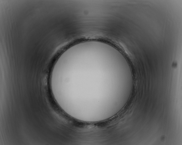 X0000102490543200808081058