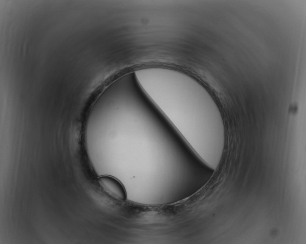 X0000102490544200808081058