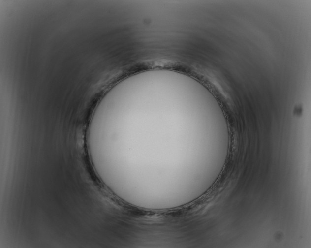 X0000102490545200808081058