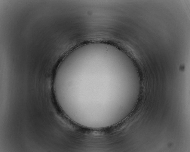 X0000102490546200808081058