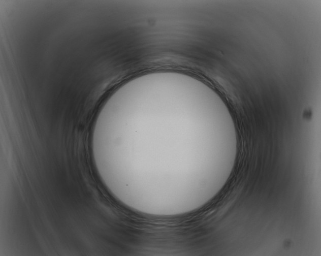 X0000102490547200808081058