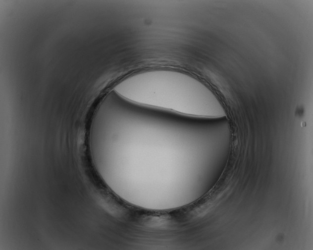 X0000102490548200808081059