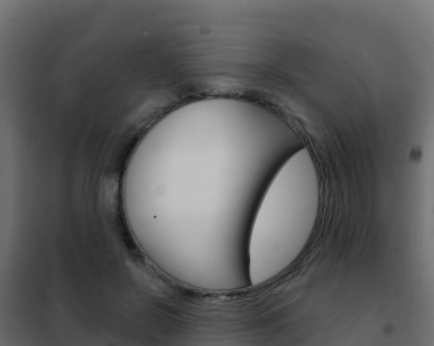 X0000102490550200808081059