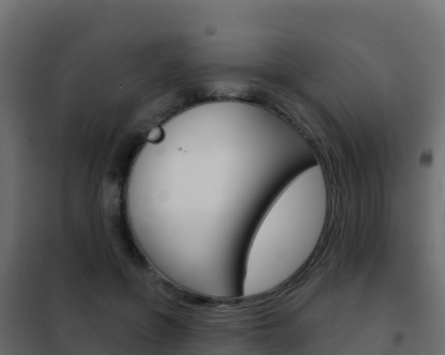 X0000102490551200808081059