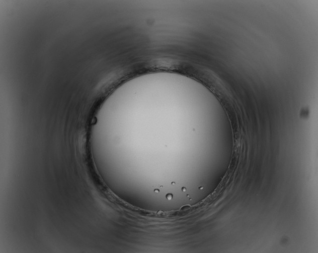 X0000102490552200808081059