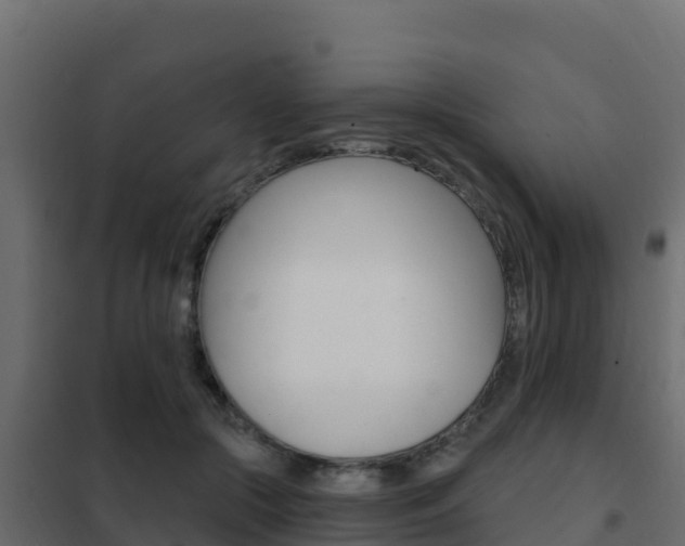X0000102490553200808081059