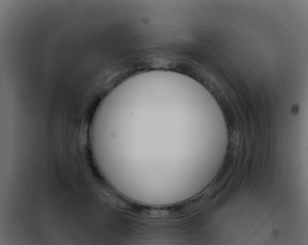 X0000102490554200808081059