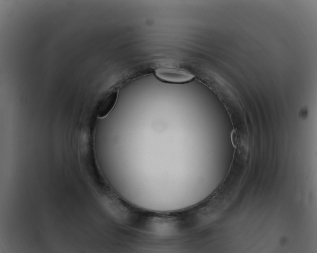 X0000102490556200808081059