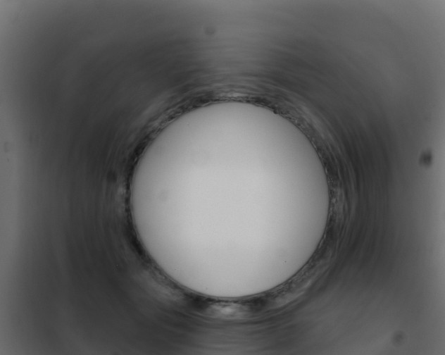 X0000102490557200808081059