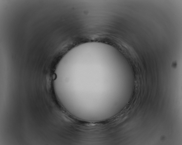 X0000102490558200808081059