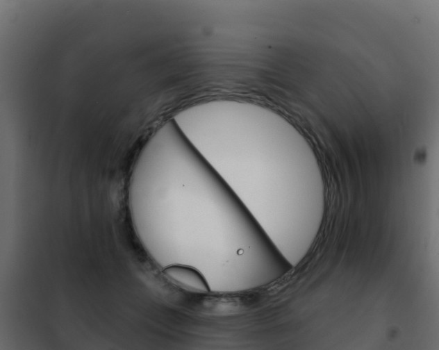 X0000102490559200808081059