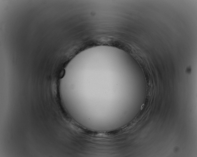X0000102490562200808081059