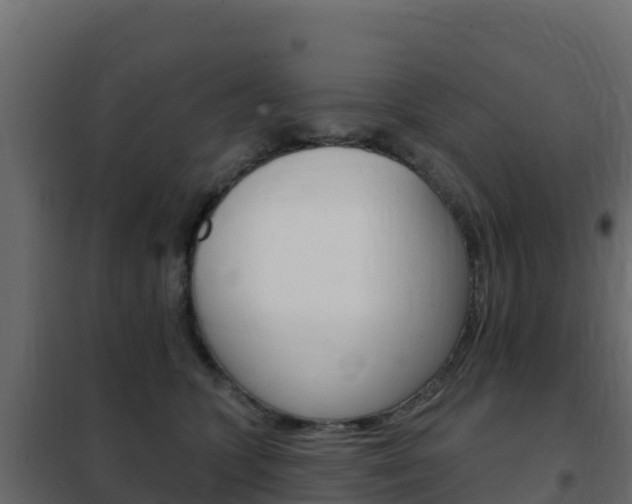 X0000102490563200808081059