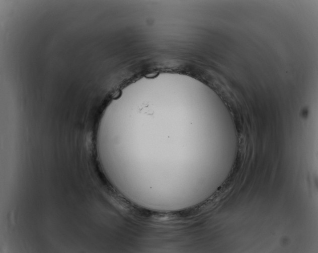 X0000102490564200808081059