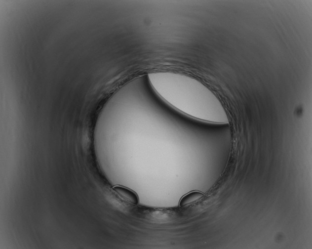 X0000102490566200808081059