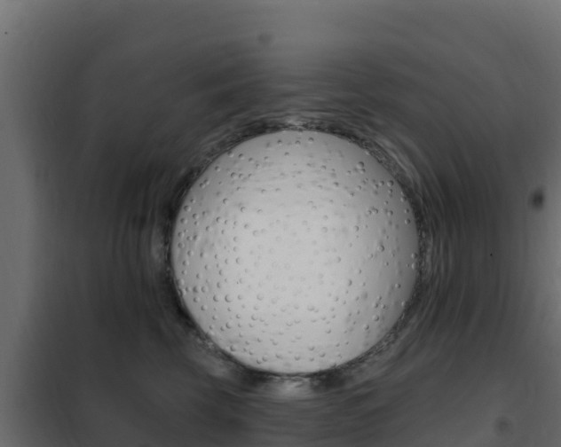 X0000102490569200808081059
