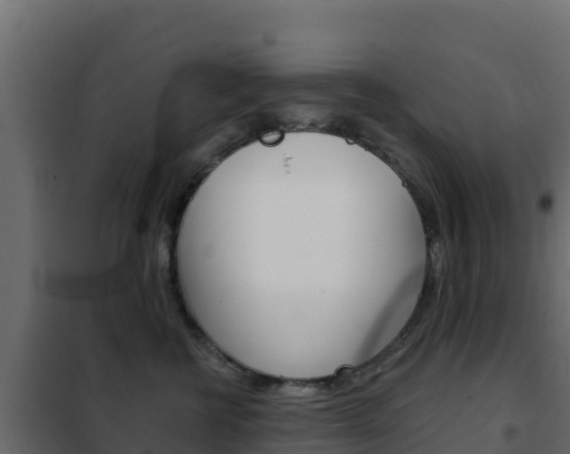 X0000102490570200808081059