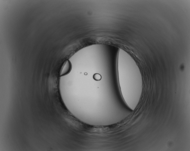 X0000102490571200808081059