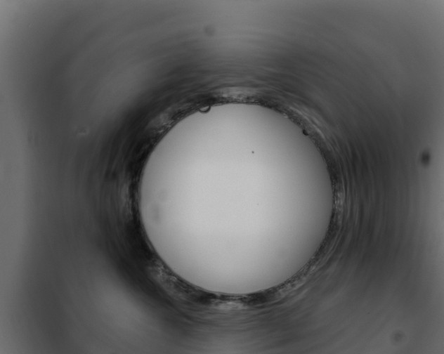 X0000102490572200808081059