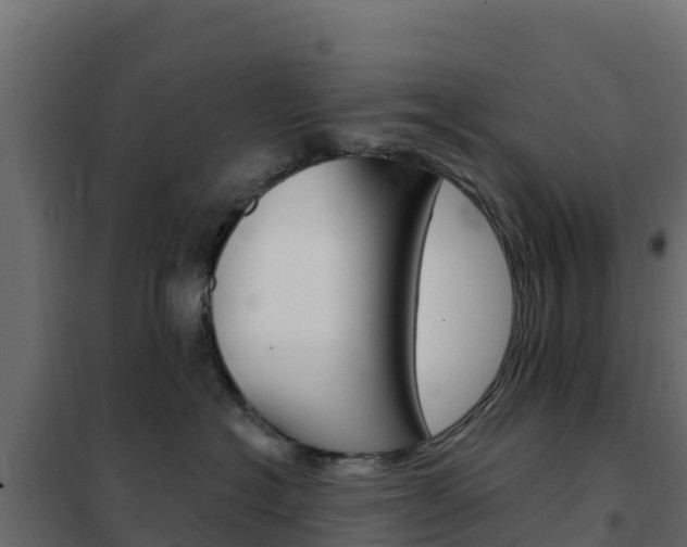 X0000102490574200808081059